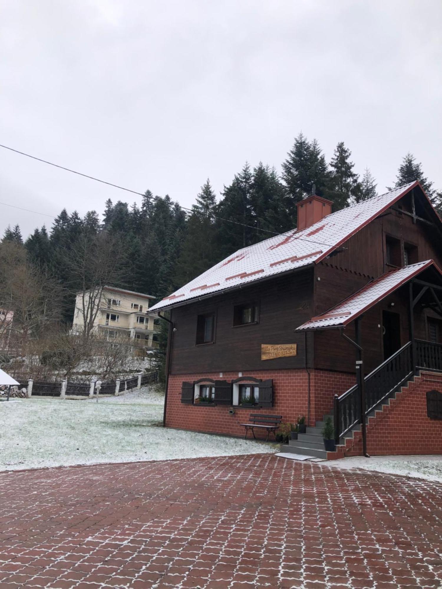 Willa Przy Strumyku Krynica-Zdrój Esterno foto